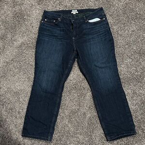 L.L. Bean Women's Deep Indigo Lined Straight Leg Jeans